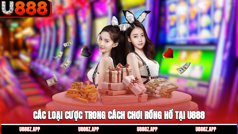 Các loại cược trong cách chơi Rồng Hổ tại U888