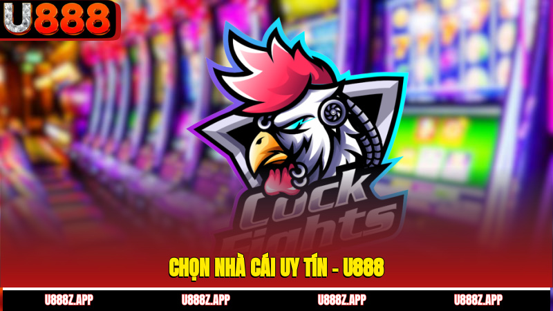 Chọn Nhà Cái Uy Tín – U888