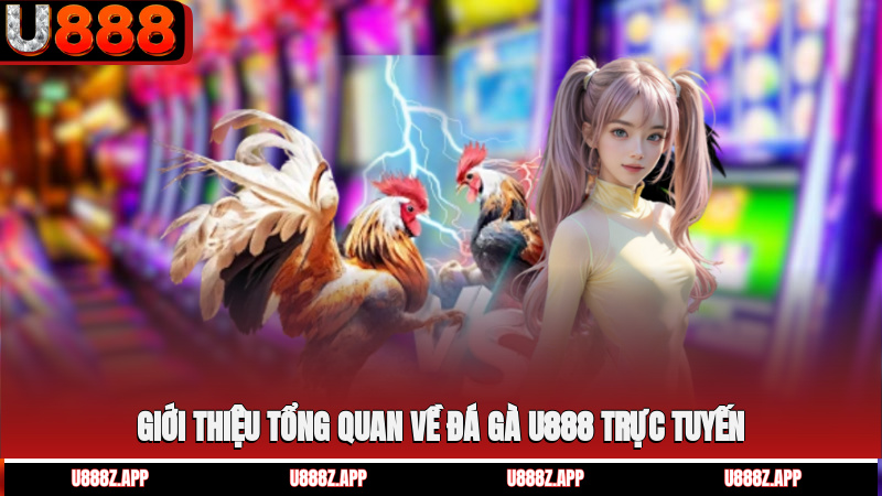 Giới thiệu tổng quan về đá gà U888 trực tuyến