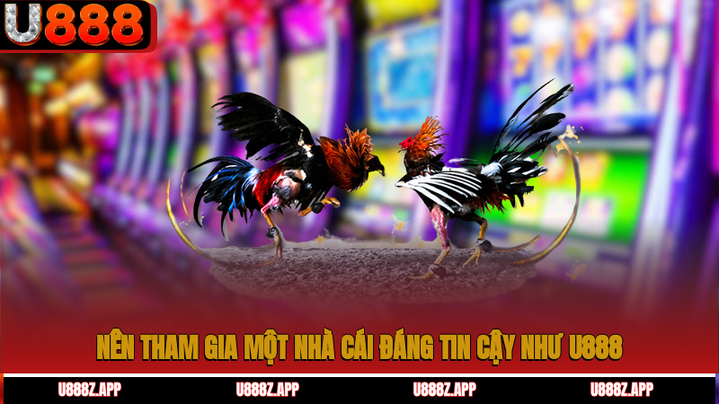 Nên tham gia một nhà cái đáng tin cậy như U888