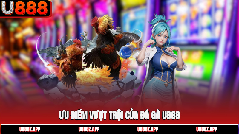 Ưu điểm vượt trội của đá gà U888